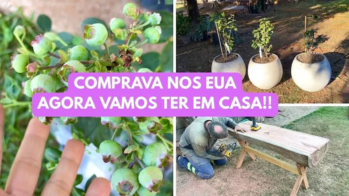 WE USED TO BUY THIS IN THE UNITED STATES, NOW WE'LL HAVE IT ON OUR FARM, WHAT A DREAM/ NUBIA VIANA, via YouTube Video Feed https://timkiem.click/watch.php?hl=US&v=jq-bXuvNPE0