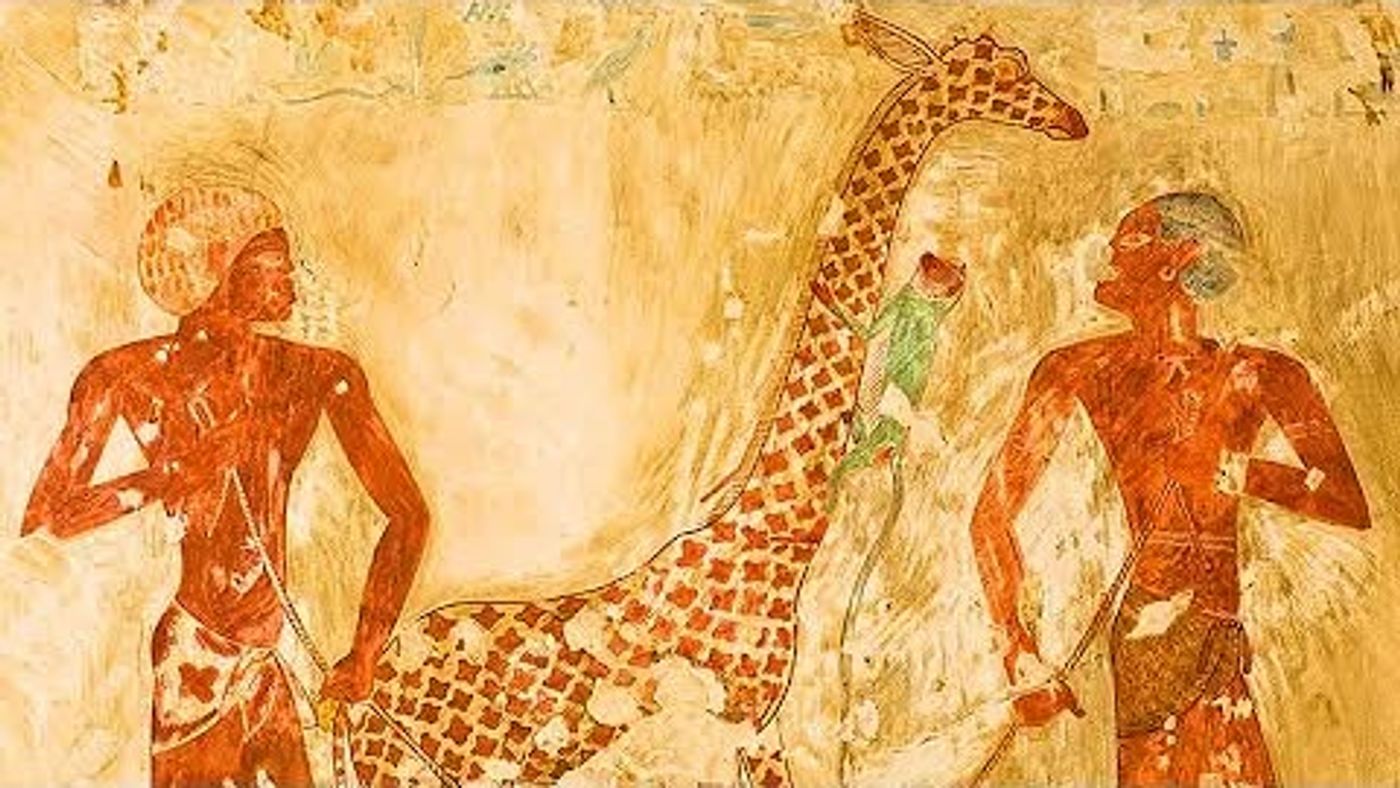 Best Relaxing Documentary - Nubians in Ancient Egypt: A Forgotten Legacy, via YouTube Video Feed https://timkiem.click/watch.php?hl=VN&v=IeYJwQ_HhUQ