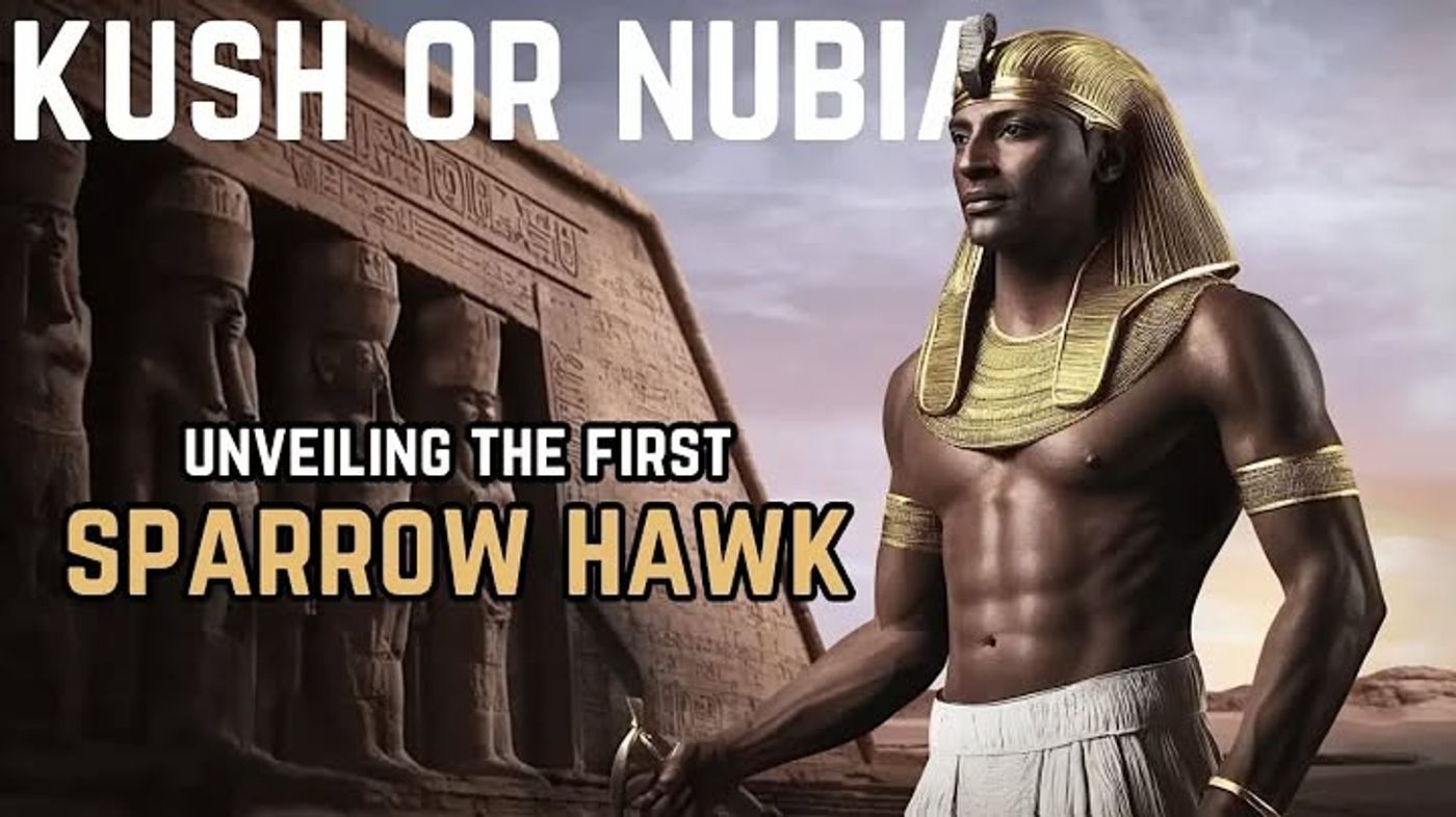 YOU WON’T BELIEVE WHY EGYPTOLOGISTS SUPPRESS THE HISTORY OF NUBIA (KUSH)

#Nubia...