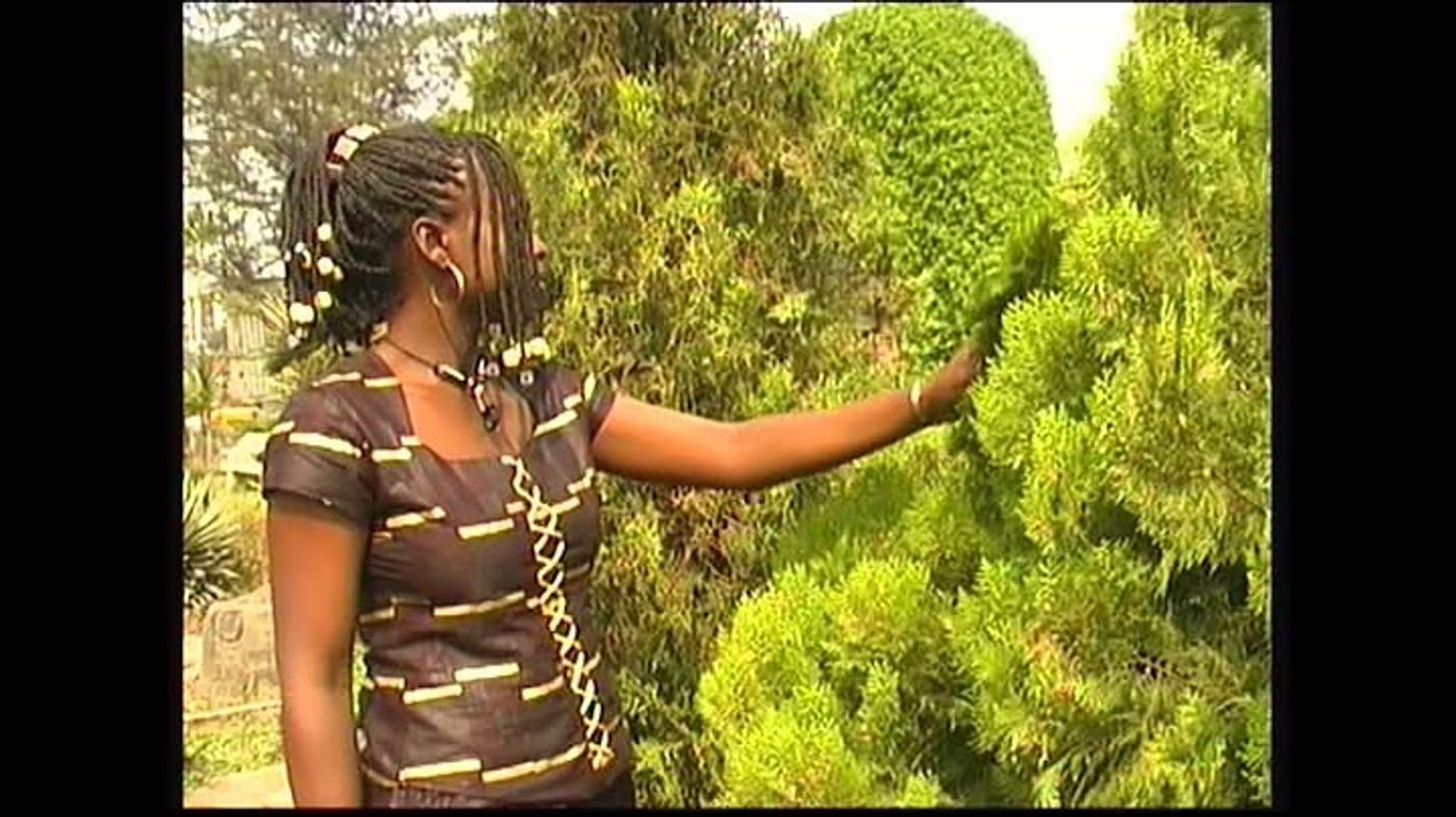 WHAT A FEELING! - Beautiful Nubia, via YouTube Video Feed https://timkiem.click/watch.php?hl=US&v=nU1P-U5CqOk